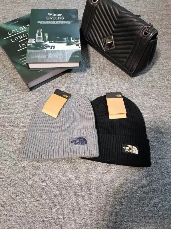 The North Face hat dx (650)